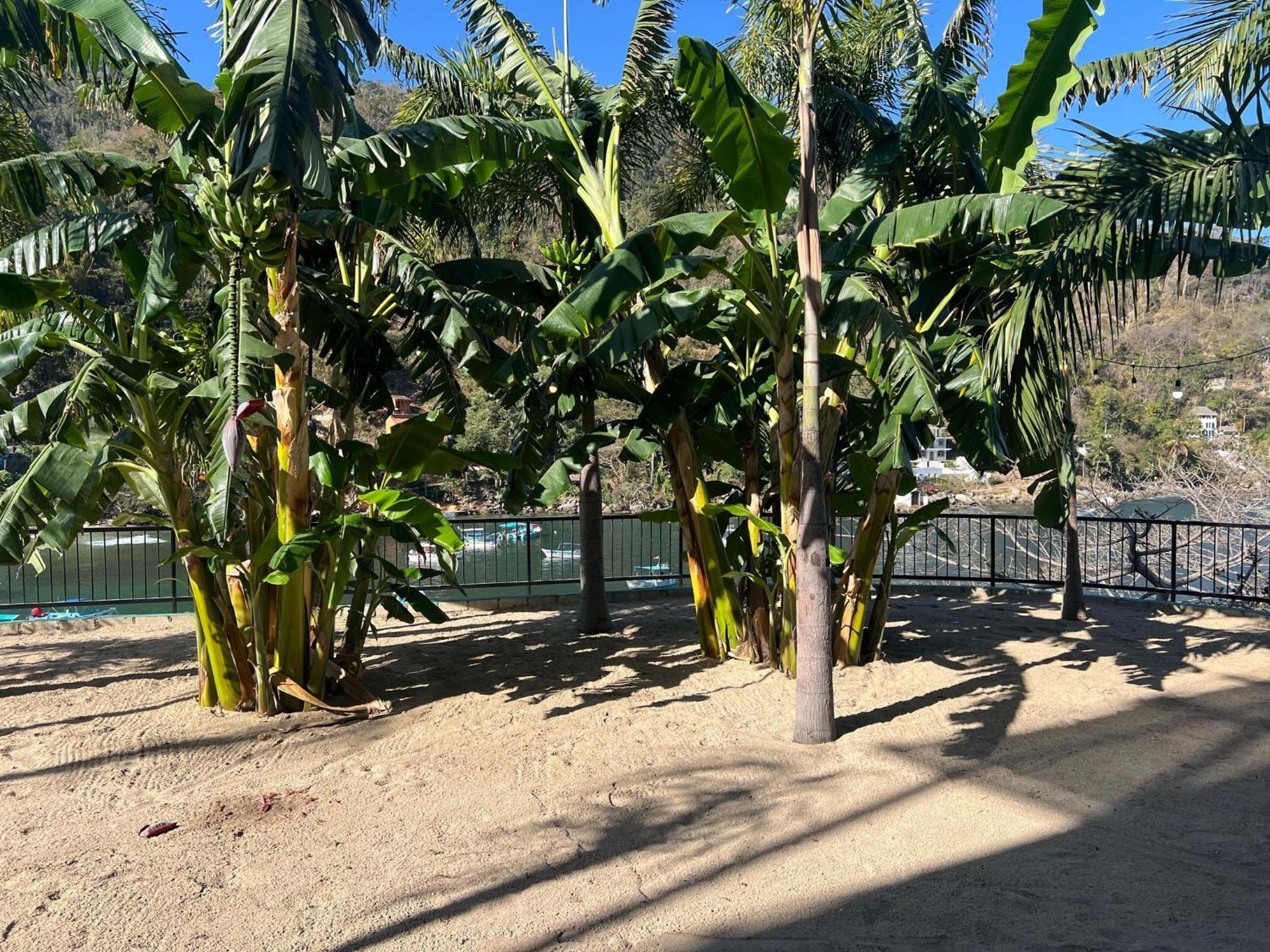 Apartment Family Vacation Home, 10 Miles From Downtown Pv Romantic Zone, Ocean Frontage *